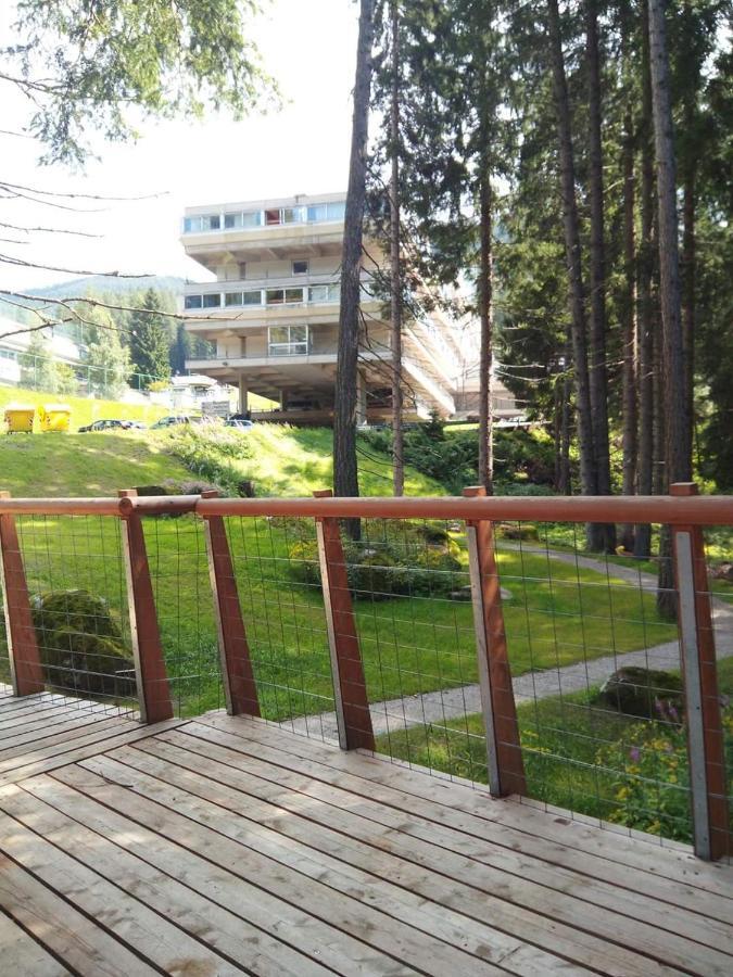 Sul cucuzzolo Apartment Marilleva Exterior foto
